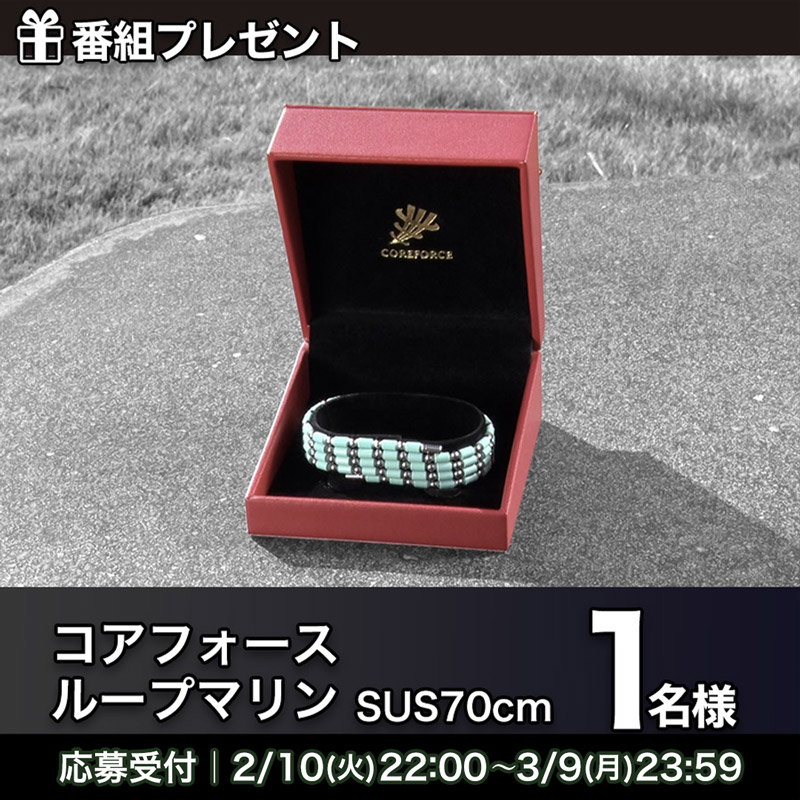 [コアフォース]ループマリン(SUS70cm)プレゼント「TEAM SERIZAWA」