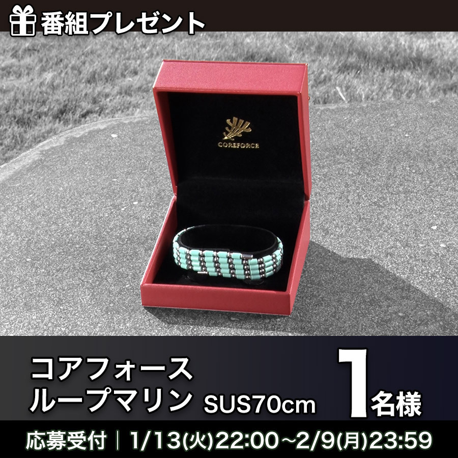 [コアフォース]ループマリン(SUS70cm)プレゼント「TEAM SERIZAWA」
